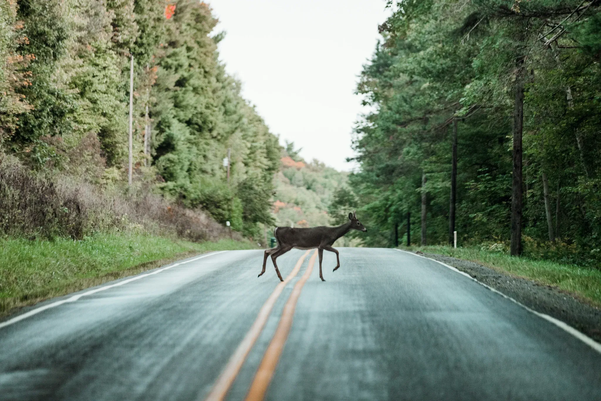 Insurance Issues After an Athens Car Accident